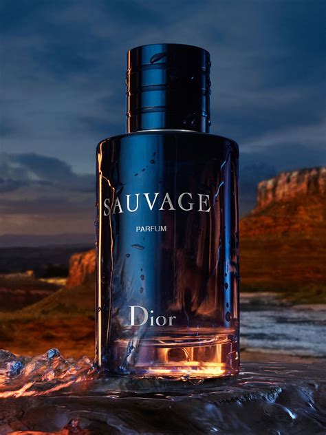 dior suvage price|how expensive is dior sauvage.